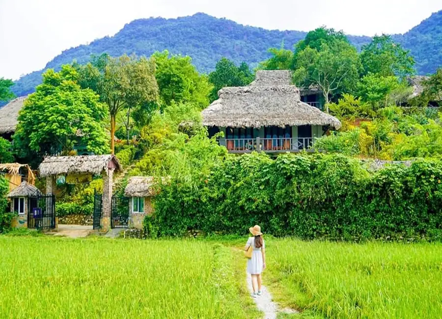 Lưu trú Mai Châu homestay
