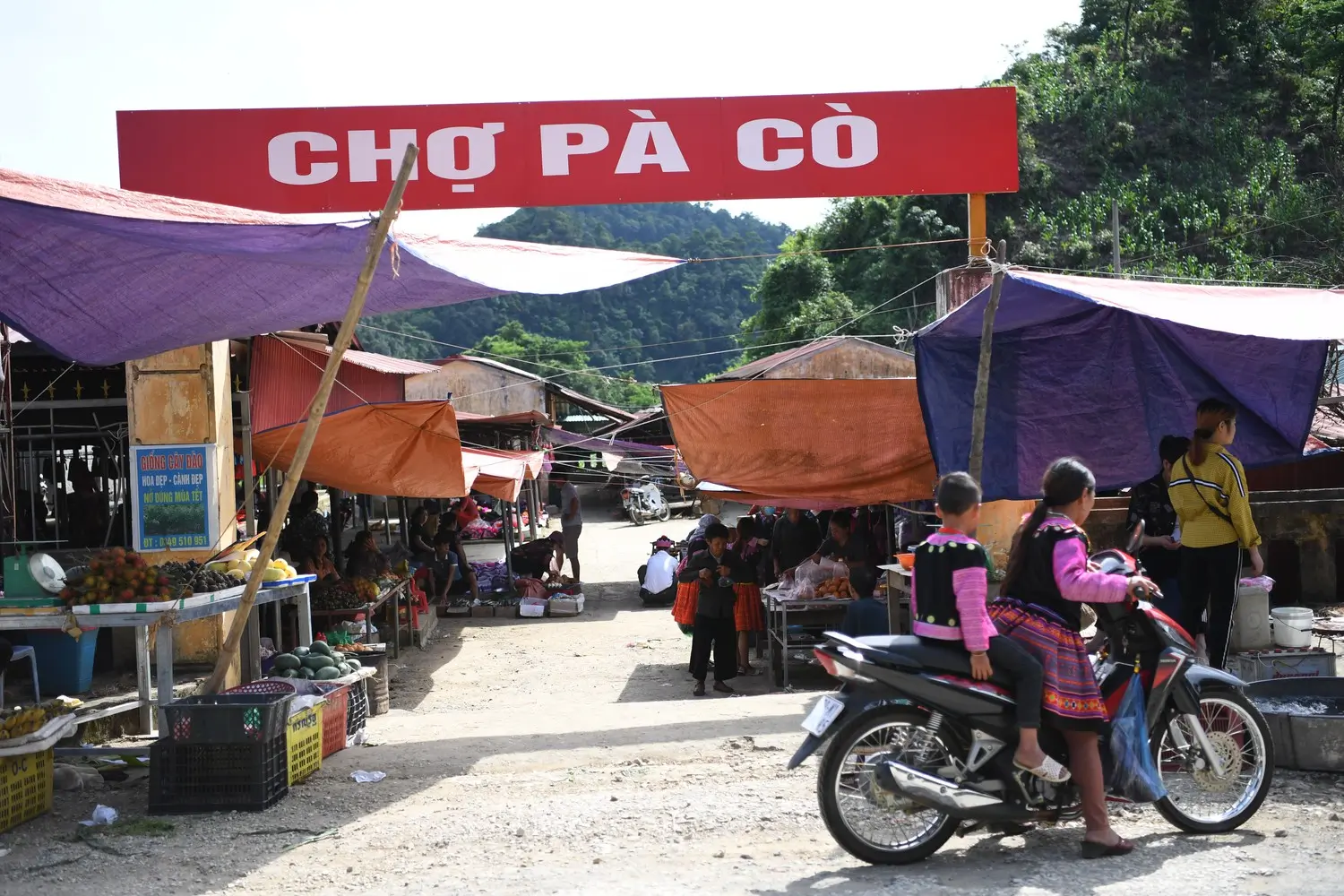 Mai Châu có gì đẹp? 10 điểm vui chơi tuyệt nhất - Nhà Hàng Hợp Thủy - Đặc sản và điểm đến du lịch nổi tiếng tại Mai Châu