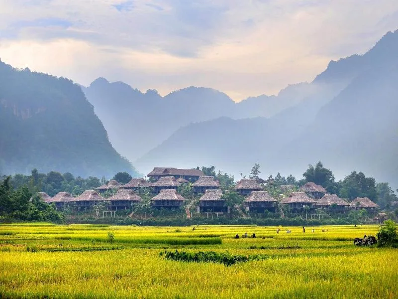 Bảng Giá Vé Tham Quan Các Điểm Du Lịch Mai Châu Mới Nhất 2026 - Đặc sản và điểm đến du lịch nổi tiếng tại Mai Châu