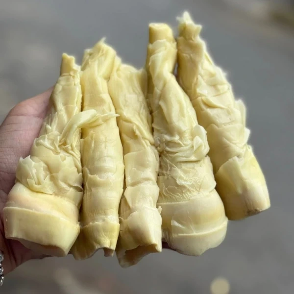 Măng chua Tây Bắc