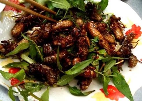 Bảng Giá Vé Tham Quan Các Điểm Du Lịch Mai Châu Mới Nhất 2026 - Đặc sản và điểm đến du lịch nổi tiếng tại Mai Châu